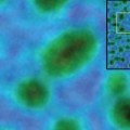 Oval shaped gold particles are 5nm diameter with lines, layers of atoms, across them.