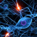 PKR Inhibitor May Improve Learning and Memory