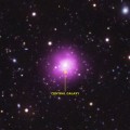 Phoenix Cluster