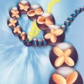 Physicists observe the splitting of an electron inside a solid