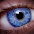 Police Can Now Identify Your Eye Color From DNA