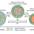 Possible phase transitions of particles containing mixtures of organic and inorganic material