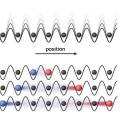 Propagation of quantum correlations in an optical lattice