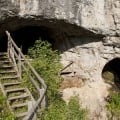 Researchers have now been able to sequence the entire Denisova genome