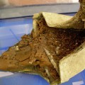 SLAC Synchrotron Reveals Core of Ancient Warship Battering Ram