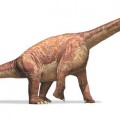 http://www.physorg.com/news/2011-11-skin-bones-large-dinosaurs-survive.html