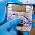 Scientists Generate Electricity From Viruses