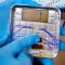 Scientists Generate Electricity From Viruses