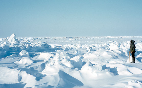 Scientists Solve the Problem of Sea Ice Thickness Distribution