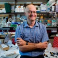 Sirtuins help fight off disorders linked to obesity