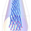 Structure of a photonic crystal fibre (PCF)