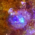 Supernova remnant W44