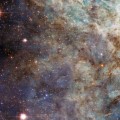 Tarantula Nebula