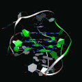 Telomere structure
