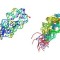 Three-dimensional RNA modeling