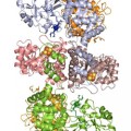 Vitamin B12 interacts with much larger molecules during the reaction known as methyltransfer