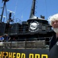 Whale Wars