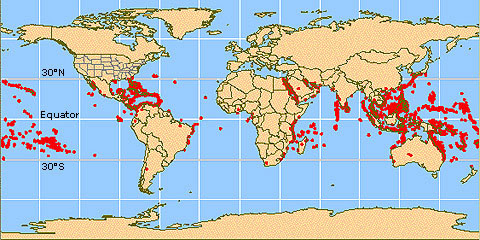 Worldwide coral reefs occur between 30°N and 30°E