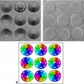 a Mesocale Look at Magnetic Vortex Formations