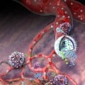a nanolipogel administering its immunotherapy cargo
