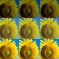 a new programming language called Halide