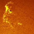 active-sunspot-1401