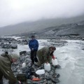 analyses identified old carbonin the Yukon River