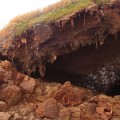 arctic-permafrost