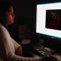 autoantibodies that target their own tissues