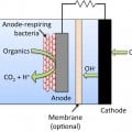 basic setup for a microbial fuel cell
