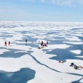 biologists find massive algal blooms under Arctic sea ice