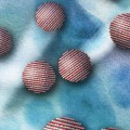 biomineralization and the growth of nanocrystals