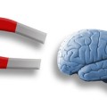 brain and magnet