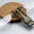 butterfly research will aid the development of flying bug-size robots.