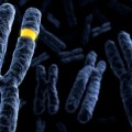 cancer cells may grow more easily