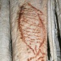 caves-nerja-drawings