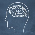 chalkboard-brain