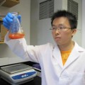 coating of selenium nanoparticles significantly reduces the growth of Staphylococcus aureus on polycarbonate