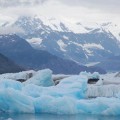 columbia-glacier-alaska-sea-ice