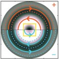 comparison of electron beams with parallel and antiparallel spin and vortex orientation