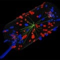 data from the Large Hadron Collider suggest the collisions may be producing a new type of matter