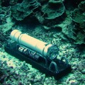 deep-ocean-floor-fungi