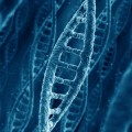 dna-rewritable-memory