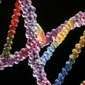 dna-strand