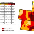 drought-conditions
