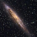 dusty-seyfert-galaxy