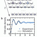 dynamical quantum simulator
