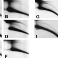 eccDNA