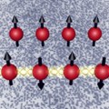 eight-photon-quantum-entangled
