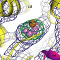 electron-density image of a Photosystem II molecular cluster